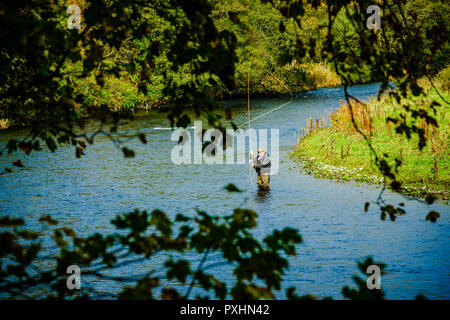 Ein Fischer auf dem Fluss Tweed in der Nähe Innerleithen, Scottish Borders Stockfoto