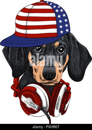 Vector Illustration lustig Hund Dackel ist das Tragen eines musikalischen Hea Stock Vektor