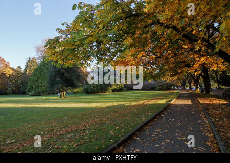 Voller fallen Farben bei freiwilligen Park, Seattle, Washington Stockfoto