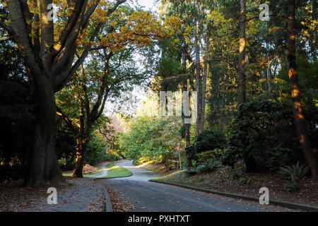 Voller fallen Farben bei freiwilligen Park, Seattle, Washington Stockfoto