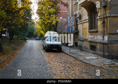 Herbst Blätter auf gepflasterten Straße in Plovdiv, Bulgarien Stockfoto
