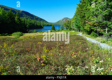 Blick auf Jordanien Teich mit einem der Blasen Bergen im Hintergrund, Acadia National Park, Maine, USA. Stockfoto