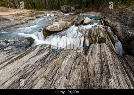 Den Kicking Horse River fließt von den Bergen herab, wurde zu einem Wasserfall, bevor es unter einer natürlichen Brücke geht, Yoho National Park, British Columbi Stockfoto