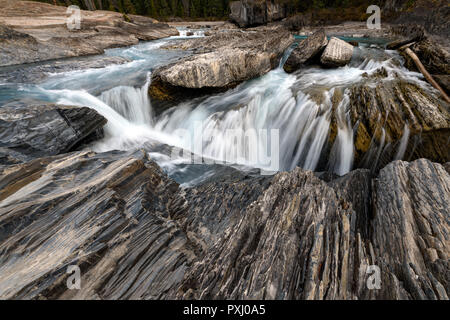 Den Kicking Horse River fließt von den Bergen herab, wurde zu einem Wasserfall, bevor es unter einer natürlichen Brücke geht, Yoho National Park, British Columbi Stockfoto