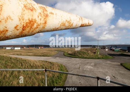 Scapa Flow Museum Korenbloemen Stromness Orkney Stockfoto