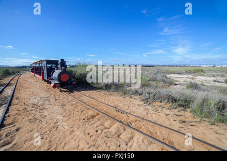 Mini-Zug am Strand Barril, dass Besucher Transporte vom Festland zum Strand, Tavira, Portugal Stockfoto