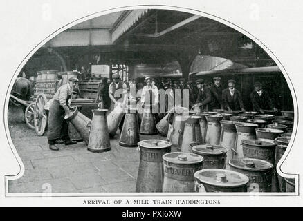 Ankunft eines Milchzugs, Paddington Station 1903 Stockfoto