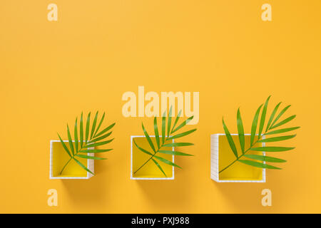 Boxen mit grünen Palmen Blätter auf leuchtend gelben Hintergrund. Sommer Dekor. Stockfoto