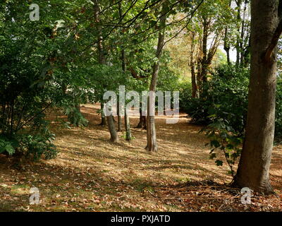 AJAXNETPHOTO. LOUVECIENNES, Frankreich. - Ruhige Lage - bewaldeten Park gelegen, in der Nähe der RUE DE LA HAUTE BARRE. Foto: Jonathan Eastland/AJAX REF: GX8 181909 401 Stockfoto