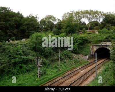 AJAXNETPHOTO. LOUVECIENNES, Frankreich. - S-Bahn Anschlüssen aus Hang in der Nähe von wo aus dem 19. Jahrhundert französischer impressionistischer Künstler Alfred Sisley MACHTE DIE MALEREI VON L'Aqueduc IN PORT MARLY 1874. Foto: Jonathan Eastland/AJAX REF: GX8 181909 428 Stockfoto