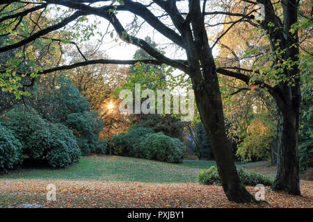 Voller fallen Farben bei freiwilligen Park, Seattle, Washington Stockfoto