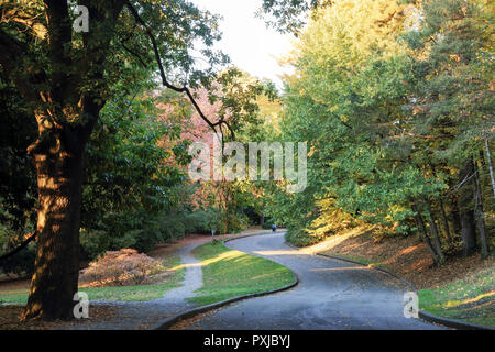 Voller fallen Farben bei freiwilligen Park, Seattle, Washington Stockfoto