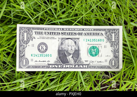 Amerikanische Dollars liegen auf dem Gras, das aus Weizen Ähren hat Stockfoto