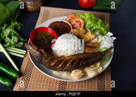 Traditionelle, malaiische Katze fisch Reis mit Sambal Stockfoto