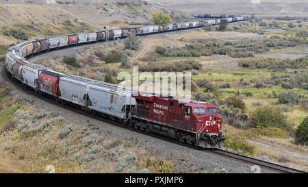 Medicine Hat, Alberta, Kanada. 10 Sep, 2018. Die Canadian Pacific Railway Güterzug, einschließlich hopper Triebwagen für Korn, fährt entlang der Strecke in der Nähe von Medicine Hat, Alberta. Credit: bayne Stanley/ZUMA Draht/Alamy leben Nachrichten Stockfoto