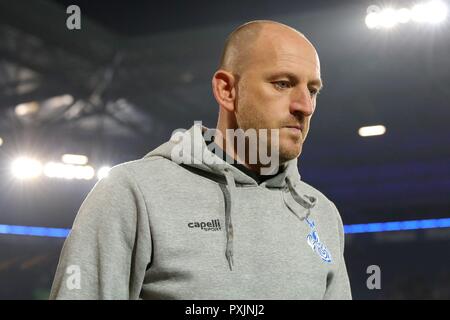 Duisburg, Deutschland. 22 Okt, 2018. firo: 22.10.2018 Fußball, 2. Bundesliga, Saison 2018/2019 MSV Duisburg - FC St. Pauli Hamburg Hamburg Trainer goalsten Lieberknecht (#TL, MSV Duisburg) nachdenklich | Verwendung der weltweiten Kredit: dpa/Alamy leben Nachrichten Stockfoto