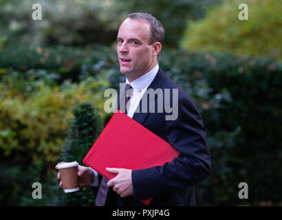 London, Großbritannien. 23. Oktober, 2018. Dominic Raab, Staatssekretär für die Europäische Union zu verlassen, kommt für die Kabinettssitzung in der Downing Street. Credit: Tommy London/Alamy leben Nachrichten Stockfoto