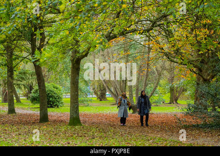 Aberystwyth Wales UK, Dienstag, 23. Okt 2018. UK Wetter: Menschen wandern und radfahren, Plascrug Park in Aberystwyth, wie die Bäume biegen Sie unzählige Farben gelb und orange auf einem feinen Oktober Herbst morgen Foto Keith Morris/Alamy leben Nachrichten Stockfoto