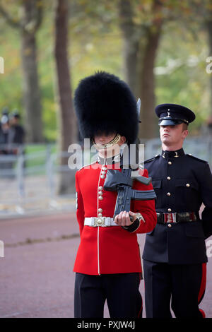 London, UK, 23. Oktober 2018, Scots Guards in der Mall als niederländische Royals, König Willem-Alexander und Máxima der Niederlande kommen für Ihre ersten Staatsbesuch in Großbritannien. Sie werden das Mittagessen haben mit Ihrer Majestät der Königin und während Ihres Aufenthalts wird HMS Belfast besuchen Sie mit der niederländischen Offshore Patrol Vessel, HNLMS Zeeland, günstig neben. Ein weiterer Besuch in Pop Brixton und schließlich ein Treffen mit dem Ministerpräsidenten Theresa May in der Downing Street. Kredit Keith Larby/Alamy leben Nachrichten Stockfoto