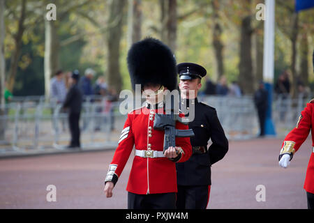 London, UK, 23. Oktober 2018, Scots Guards in der Mall als niederländische Royals, König Willem-Alexander und Máxima der Niederlande kommen für Ihre ersten Staatsbesuch in Großbritannien. Sie werden das Mittagessen haben mit Ihrer Majestät der Königin und während Ihres Aufenthalts wird HMS Belfast besuchen Sie mit der niederländischen Offshore Patrol Vessel, HNLMS Zeeland, günstig neben. Ein weiterer Besuch in Pop Brixton und schließlich ein Treffen mit dem Ministerpräsidenten Theresa May in der Downing Street. Kredit Keith Larby/Alamy leben Nachrichten Stockfoto