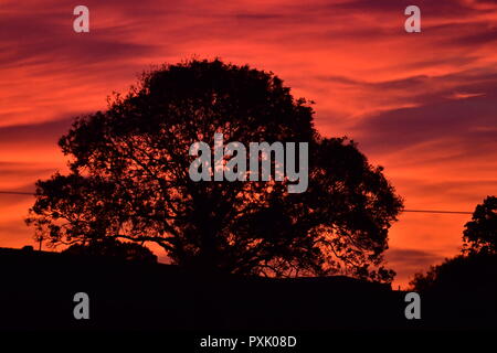 Somerset. 23. Okt 2018. UK Wetter, wunderbare Bunte am späten Abend Sonnenuntergang über die Felder in Richtung Weston Super Mare. Robert Timoney/Alamy/Live/News Credit: Robert Timoney/Alamy leben Nachrichten Stockfoto