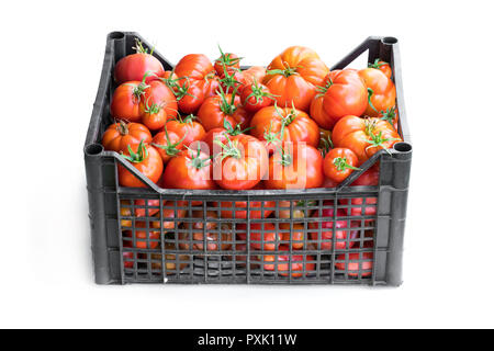 Frische reife große Tomaten in Kunststoffkisten isoliert auf weißem Stockfoto