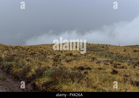 Blick auf die Strato Vulkan Cotopaxi, Ecuador Stockfoto