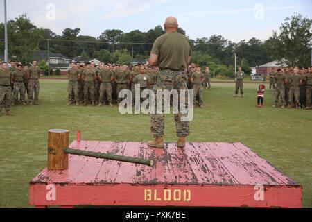 Oberst Thomas Dodds gibt dem Marine Air Control Gruppe 28 Marines einige Motivation, bevor ihre athletischen bei Marine Corps Air Station Cherry Point, N.C., 2. Juni 2017 kombinieren. Der Mähdrescher bestand aus verschiedenen physischen Wettbewerbe, darunter ein Staffellauf, Bankdrücken, Speerwurf, Pull-ups, Reifen Flip und Humvee drücken. Teams von 20 Marines aus jeder Staffel innerhalb der Kontrollgruppe konkurrierten in den Mähdrescher. Dodds ist der kommandierende Offizier von MACG-28. Stockfoto