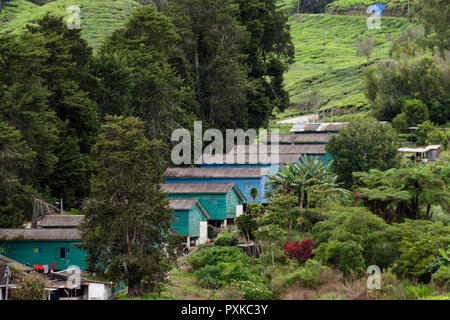 Unterkunft der Arbeitnehmer auf dem Sungai Palas Boh Teeplantagen in den Cameron Highlands, Malaysia. - Das Beste von Highland (BOH) Tee Plantage bei Sungai Palas, Stockfoto