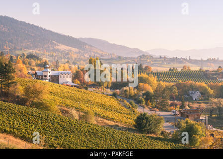 Blick auf Weinberge und Weingüter auf dem naramata Sitzbank bei Sonnenuntergang im Herbst Stockfoto