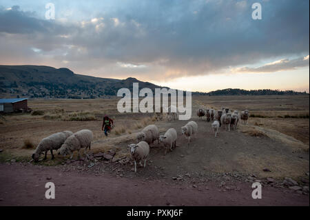 Entlang der Qapac-ñan Aus Chucuito Stockfoto