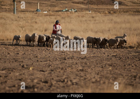 Entlang der Qapac-ñan Aus Chucuito Stockfoto