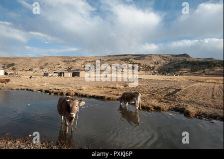 Entlang der Qapac-ñan Aus Chucuito Stockfoto