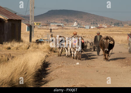 Entlang der Qapac-ñan Aus Chucuito Stockfoto