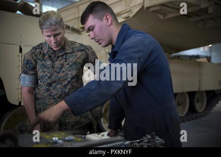 Brig. Gen. Helen Pratt, 4. Marine Logistics Group Kommandierender General, bespricht die Instandhaltung mit einem Marine aus dem Kampf Logistik Bataillons 451, während das Personal temporäre Augmentee Programm (PTAP), 14. Juni 2017 in Stjørdal, Norwegen. Die PTAP-Programm vorgesehenen Reserve Marines hands-on-Trainings in der Wartung von Marine Corps Vorpositionierung Programm (MCPP-N) für zwei Wochen das jährliche Training. Die Vorwärtsbewegung der Ausrüstung durch die Mcpp-N reduziert die Reaktionszeit durch den Wegfall von Standorten in den kontinentalen Vereinigten Staaten einzusetzen. Stockfoto