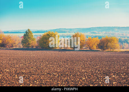 Ländliche Landschaft. Ein landwirtschaftlicher Bereich im Herbst. Bäume am Rande des Feldes und die Berge in der Ferne Stockfoto