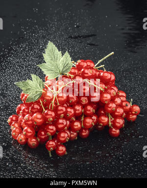 Rote Johannisbeere Stockfoto