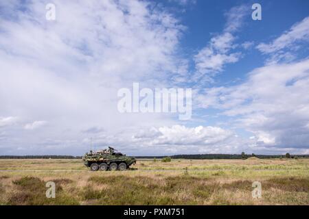 Eine Battle Group Polen USA M1126 Stryker Laufwerke in einem zugewiesen, während der Bereich Ausbildung übung Teil von Sabre Streik 2017 Bemowo Piskie, Polen, 13. Juni 2017. Sabre Streik 17 ist eine US-Army Europe-geführten Multinationalen Kräfte kombiniert jährlich durchgeführten Studie des NATO-Bündnisses im gesamten Ostseeraum und Polen zu verbessern. Die diesjährige Übung beinhaltet integrierte und synchronisierte Abschreckung-orientierte Ausbildung für die Interoperabilität und die Bereitschaft der 20 teilnehmenden Nationen Streitkräfte zu verbessern. Stockfoto