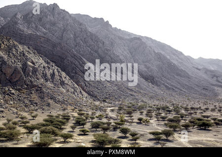 Vereinigte arabische Emirat Ras Al-Kaimah Dhayah Fort Blick Haja Gebirge Berge Reisen Tourismus Sehenswuerdigkeit Vereinigte Arabische Emirate Schloss Hist Stockfoto