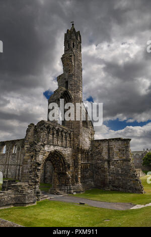 Steinerne Ruinen aus dem 14. Jahrhundert Eingang West und Turm von St. Andrews Kathedrale mit dunklen Wolken St Andrews Fife Schottland Großbritannien Stockfoto