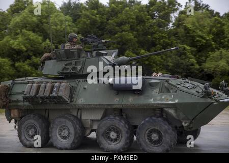 Ein Marine fährt ein leicht gepanzertes Fahrzeug während einer feldübung in Camp Lejeune, N.C., 8. Juni 2017. Die Marines nahmen an der Übung die amphibische Fähigkeiten von LAVs zu testen, während die Hervorhebung der Bedeutung von Swift, genaue Aufklärung für den künftigen Betrieb. Die Marines sind mit 2 Light Armored Reconnaissance Bataillon. Stockfoto