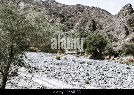 Sultanat Oman Reisen Berge Landschaft Hajar Gebirge Wadi Flussbett ...