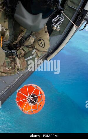 Sgt. James Perkins von 2 Bataillon, 25 Aviation Regiment, 25 Combat Aviation Brigade, 25 Infanterie Division, ein Besatzungsmitglied Instructor, beobachtet eine North Shore wildfire aus der Distanz, wie sie von einem Druckabfall während der löscharbeiten am 8. Juni. 25 CAB, 25 ID, zusammen mit der Hawaii Abteilung von Land und natürlichen Ressourcen und anderen lokalen Agenturen, gemeinsam ein wildfire an der Nordküste in der Nähe von Mokule'ia Forest Reserve und Pahole Natural Area Reserve zu kämpfen. Das Feuer war am 10. Juni enthalten. Stockfoto