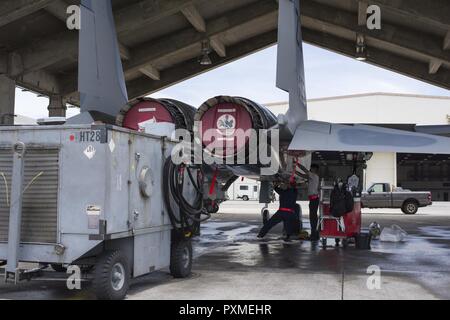 Us Air Force 67th Aircraft Maintenance Unit F-15 Eagle Mannschaft-oberhäupter prüfen hydraulische Systeme eines F-15 während Ausbildungsmaßnahmen Juni 13, 2017, bei Kadena Air Base, Japan. Der 67 AMU hilft das Flugzeug eines der größten Fighter Wing der US Air Force erhalten. Stockfoto