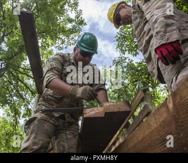 Dänische Soldaten Lanze Cpl. Al Frederiksen und Lance Cpl. Stephen Bjerre, 3. Bau Bataillon, Dänische Armee, Maßstab, ein Stück Holz für eine Fußgängerbrücke während des goldenen Coyote Übung im Custer State Park, Custer, S.D., 16. Juni 2017. Die goldenen Coyote Übung ist eine dreiphasige, Szenario-driven Übung in den Black Hills von South Dakota und Wyoming, mit dem Kommandanten auf der Mission wesentliche Anforderungen der Aufgabe, Krieger Aufgaben und Übungen zu konzentrieren. Stockfoto