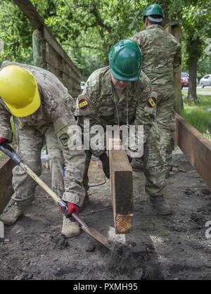 Us-Armee SPC. Chris Leibel (links) mit dem 155 Ingenieur Firma, South Dakota Army National Guard und dänischen Soldaten Lanze Cpl. Stephen Bjerre, 3. Bau Bataillon, Dänische Armee, bereitet ein Stück Holz für eine Fußgängerbrücke während des goldenen Coyote Übung im Custer State Park, Custer, S.D., 16. Juni 2017 festzulegen. Die goldenen Coyote Übung ist eine dreiphasige, Szenario-driven Übung in den Black Hills von South Dakota und Wyoming, mit dem Kommandanten auf der Mission wesentliche Anforderungen der Aufgabe, Krieger Aufgaben und Übungen zu konzentrieren. Stockfoto