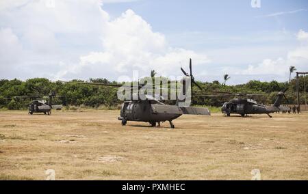 MARINE CORPS BASE HAWAII - UH-60 Black Hawk Hubschraubern zum 25 Combat Aviation Brigade zugeordnet sind, inszeniert vor der Durchführung Übung Bougainville 1-17,2 bei Landing Zone Boondocker an Bord Marine Corps Base Hawaii, 14. Juni 2017. 25 Combat Aviation Brigade unterstützt Marines mit Lima Company, 3.BATAILLON, 3. Marine Regiment, bei einem Luftangriff am Kahuku Ausbildung Bereich, ist ein Teil der Übung Bougainville, einem zweiwöchigen Training übung für das Bataillon die Letalität und Wirksamkeit als eine Kraft, die in der Bereitschaft zu verbessern. Stockfoto