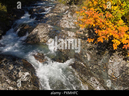 Frische und klare Bergbach mit rauschenden Wasser und die Blätter im Herbst, Tal Hemsedal Norwegen Stockfoto