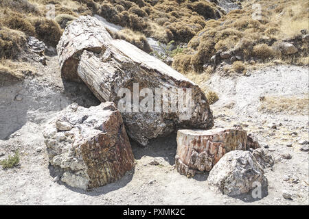 Griechenland, Insel Lesbos, Sigri, Baumstumpf, versteinert, Baum, Baumstamm, alt, Naturschutzpark Apolithomeno Dasos, Versteinerung, Berglandschaft, E Stockfoto