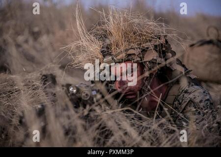 Lance Cpl. Mitchell Nicholas, gewehrschützen mit 2Nd Battalion, 1 Marine Regiment, 1st Marine Division, bietet Sicherheit beim Marine Corps Combat Readiness Bewertung beim Marine Corps Base Camp Pendleton, Calif., 15. Juni 2017. MCCREs durchgeführt Gerät Normung und zur Bekämpfung der Bereitschaft zur Vorbereitung der operationellen Bereitstellung zu gewährleisten. Stockfoto